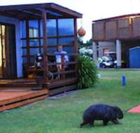 BIG4 Kelso Sands Holiday Park - Accommodation Brisbane