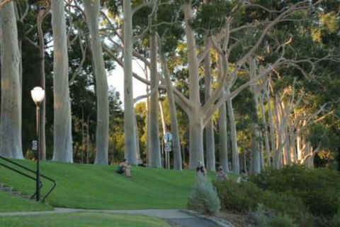 Heritage & Charming House In Subi - Accommodation Brisbane 3