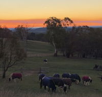 High Country Trail Rides  Farm Stay - Accommodation Brisbane