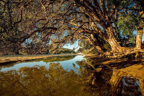 Woolgoolga Lakeside Holiday Park - Accommodation Brisbane 1