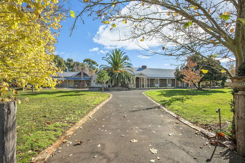 Orchards At Spring Vale Farm - Accommodation Brisbane 2