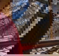 Snowgums 07 - Accommodation Brisbane