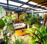 Jaspers Apartments - Accommodation Brisbane