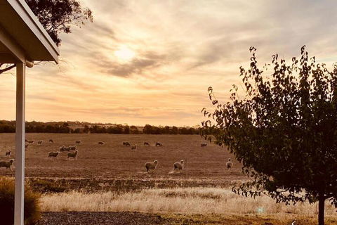 Marys Farm Cottages - Accommodation Brisbane 3