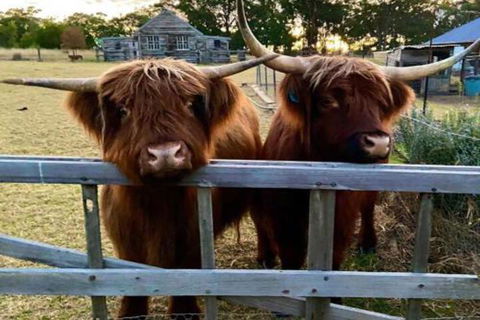 Straw House Farm B & B - Accommodation Brisbane 4
