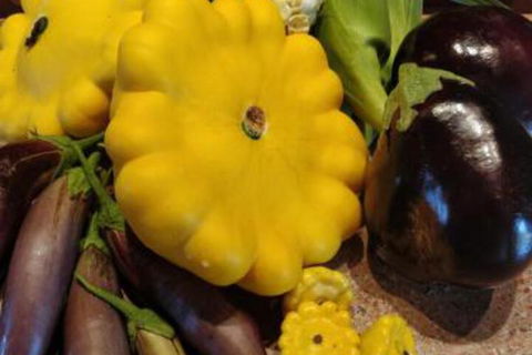 Straw House Farm B & B - Accommodation Brisbane 6