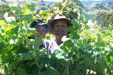 Wimmera Hills Winery - Accommodation Brisbane 2