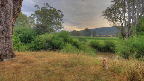 Buffalo River Homestead - Accommodation Brisbane 3
