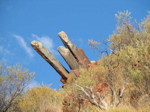 Wudinna Farm View - Accommodation Brisbane 3