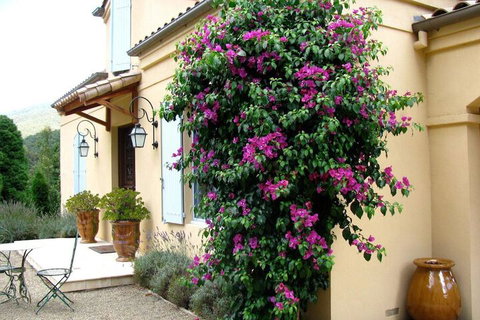 Casa Valeri - Accommodation Brisbane 3