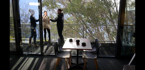 Diana Alpine Lodge - Accommodation Brisbane 3