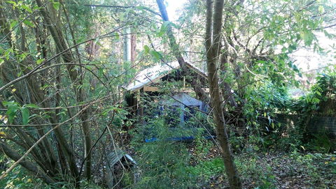 The Black Cockatoo Nannup - Accommodation Brisbane 1