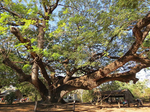 Springvale Homestead - Accommodation Brisbane 3