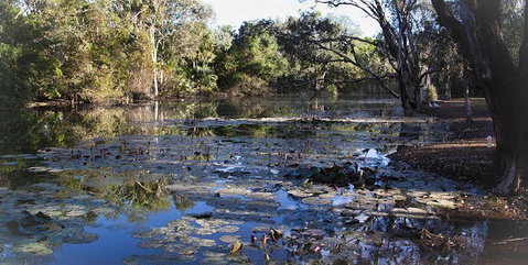 Springvale Homestead - Accommodation Brisbane 1