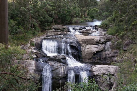 Toora Lodge Motel - Accommodation Brisbane 2