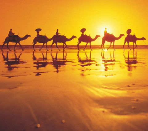 Mantra Frangipani Broome - Accommodation Brisbane 1
