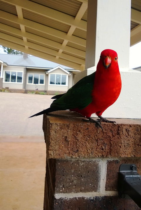 Marysville Garden Cottages - Accommodation Brisbane 3