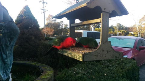 Grand Country Lodge Motel - Accommodation Brisbane 3