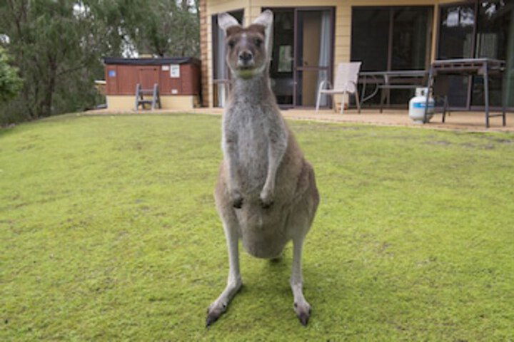 Metricup WA Accommodation Brisbane