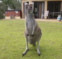 Yelverton Brook Conservation Sanctuary - Accommodation Brisbane