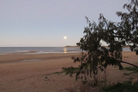 The Shores Holiday Apartments - Accommodation Brisbane 1