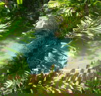 Palm Cove Tropic Apartments - Accommodation Brisbane