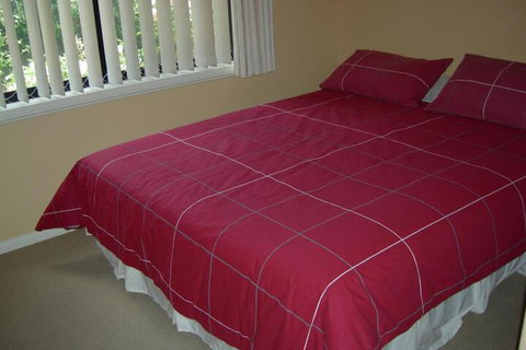 Busy Buzz B & B - Accommodation Brisbane 4