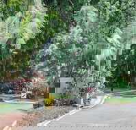 Oasis at Palm Cove - Accommodation Brisbane