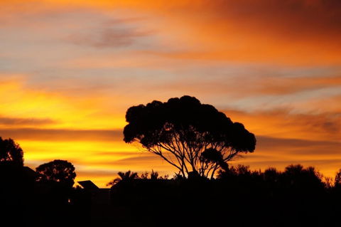 Lindsays Of Kangaroo Island - Accommodation Brisbane 0