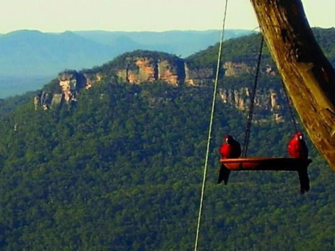 Valley Of The Waters B&B - Accommodation Brisbane 3