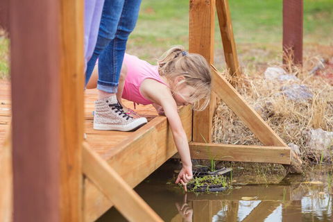 Tindarra Resort - Accommodation Brisbane 5