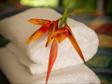Parap Village Serviced Apartments - Accommodation Brisbane 1