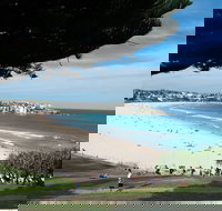 Bondi 38 Serviced Apartments - Accommodation Brisbane