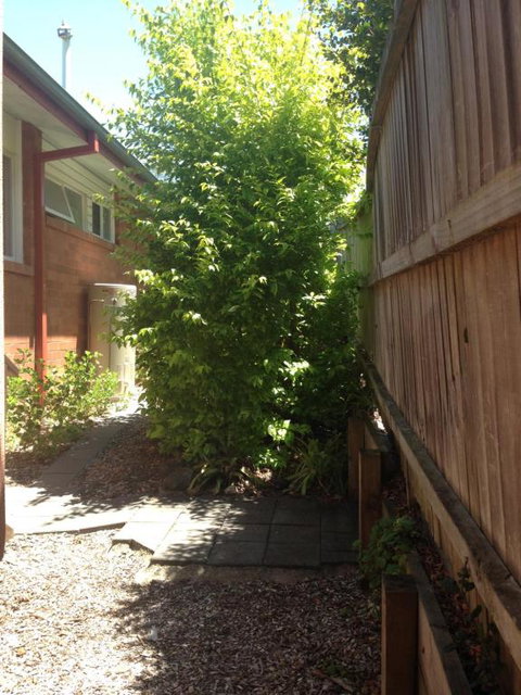 Thornleigh Garden View Comfortable & Tranquil - Accommodation Brisbane 7