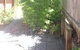 Thornleigh Garden View Comfortable & Tranquil - thumb 1