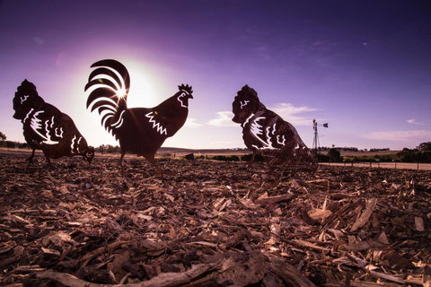 Bukirk Glamping & Tiny Houses - Accommodation Brisbane 6