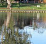 Wentworth Wharf B  B - Accommodation Brisbane