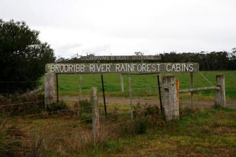 Brodribb River Rainforest Cabins Cabin 1 - Accommodation Brisbane 2