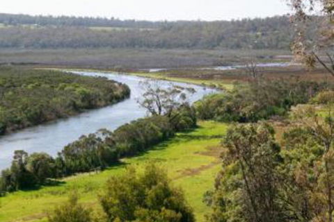 Brodribb River Rainforest Cabins Cabin 1 - Accommodation Brisbane 4