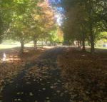 A peaceful cabin in the country - Accommodation Brisbane