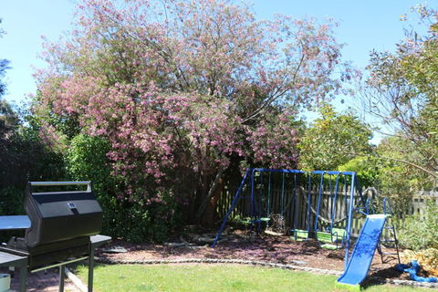 Sisters Beach Paradise - Accommodation Brisbane 3