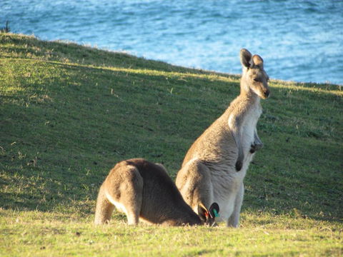 Lake Russell Retreat - Accommodation Brisbane 6