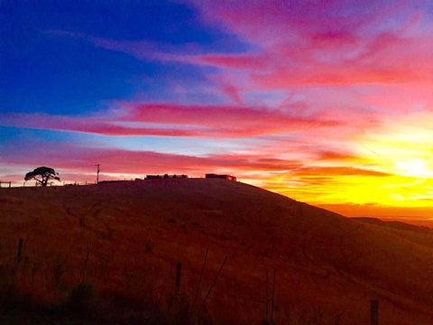 One Tree Hill - Accommodation Brisbane 1