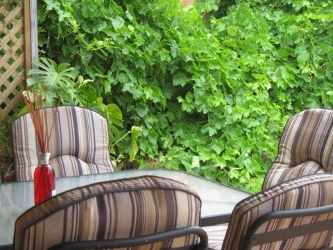 Amalie Cottage Waikerie Unit 1 - Accommodation Brisbane 6