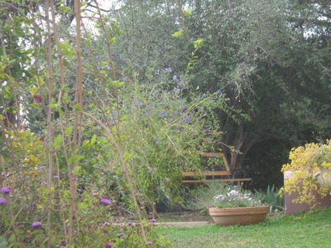 Amalie Cottage Waikerie Unit 1 - Accommodation Brisbane 5