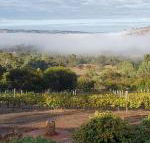 Pecan Hill BNB - Accommodation Brisbane