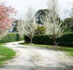 Robin Hill Manor rambling retreat  tennis court - Accommodation Brisbane