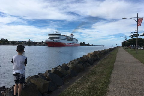 Tiny Tom - Accommodation Brisbane 2