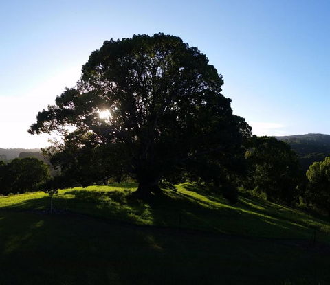 Valleydale Cottage - Accommodation Brisbane 1