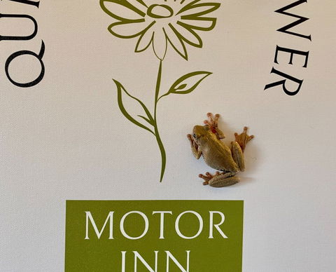 Quirindi Sunflower Motor Inn - Accommodation Brisbane 2